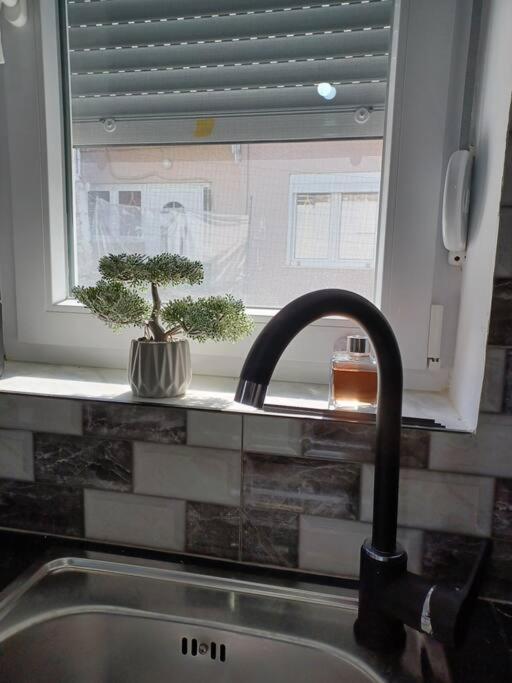 Petite Suite With Backyard. Mytilíni Екстериор снимка